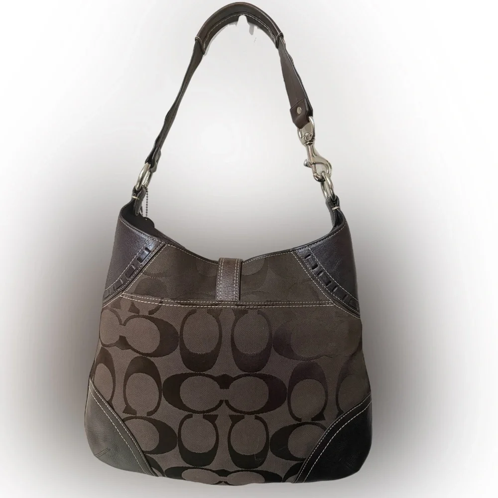 Vintage Y2K Brown Coach Hampton Python Hobo Bag#10260